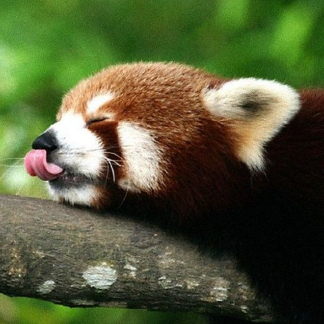 aaaaaaa